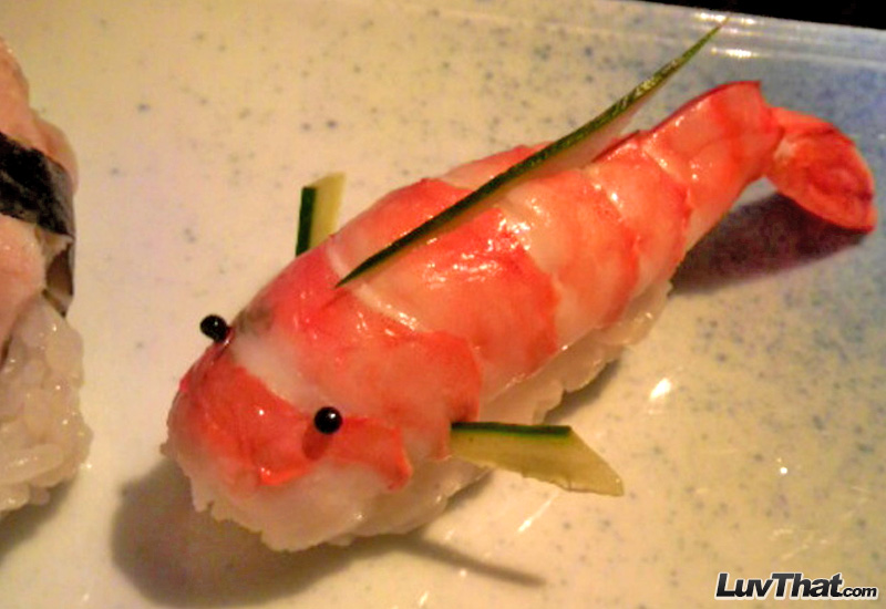 shrimp fish sushi art
