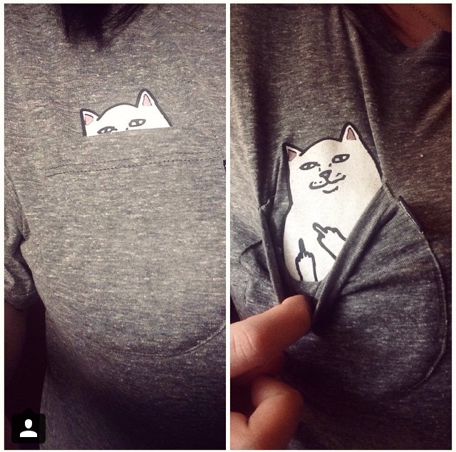 awesome cat tshirt
