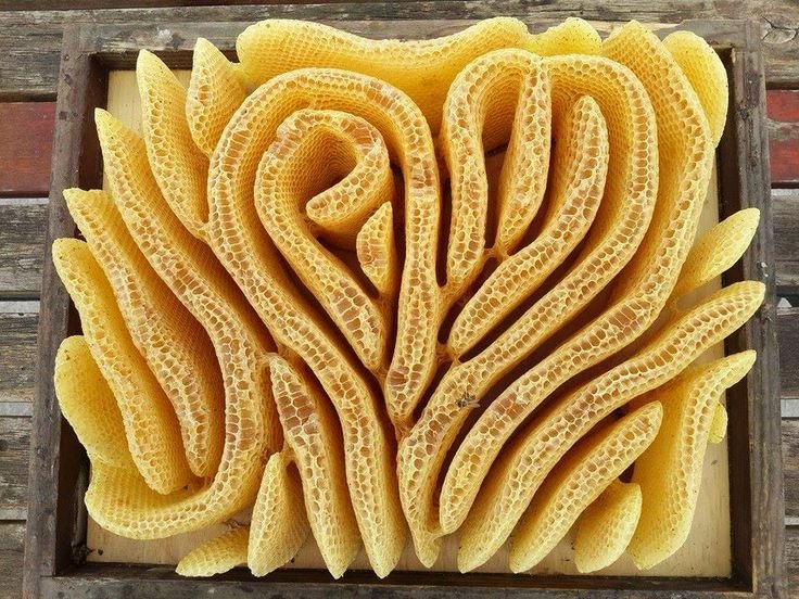 cool looking honeycomb