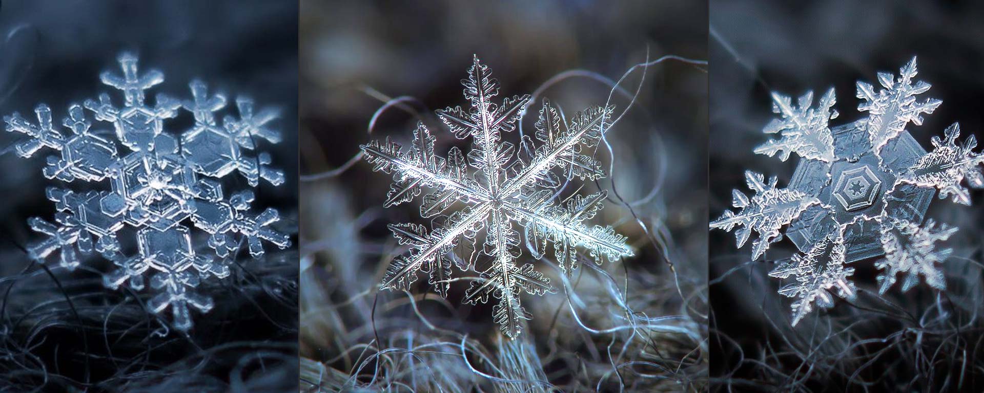 Featured Natural Beauty of Snowflakes